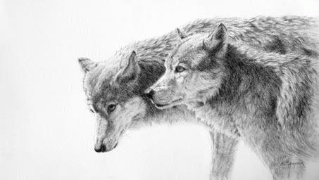 Kate Ferguson - Wolves