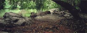 Yarra River Near Eltham